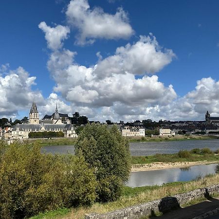 "Gite Les Futreaux" Vue Sur Loire & Linge Inclus Блоа Екстериор снимка