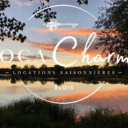 "Gite Les Futreaux" Vue Sur Loire & Linge Inclus Блоа Екстериор снимка